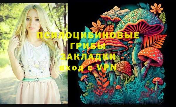 соль ск Аркадак