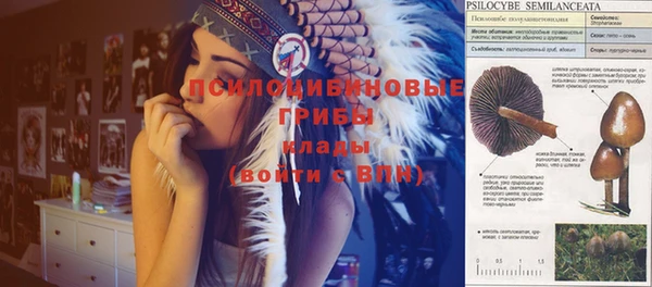 соль ск Аркадак