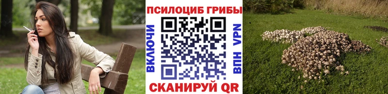 Псилоцибиновые грибы ЛСД Пыть-Ях